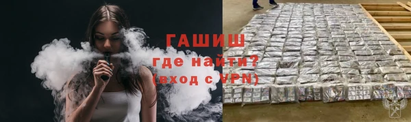 сатива Корсаков